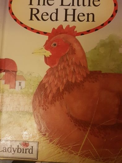 Junior ; Ladybird Favourite Tales books