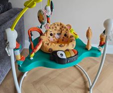 Baby bouncer