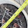 Wide ceramic garden pot Image 3