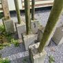 Fence Posts/  Dog Pound. Image 2