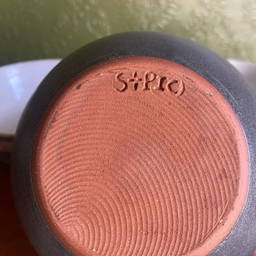 Stephen Pearce bowls