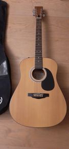 Palmer Guitar with case