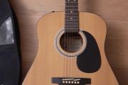 Palmer Guitar with case