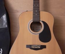 Palmer Guitar with case