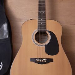 Palmer Guitar with case