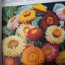 vintage new book flowers for everywhere 1974 Image 3