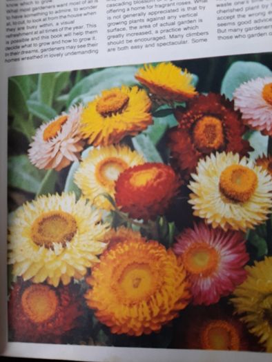 vintage new book flowers for everywhere 1974