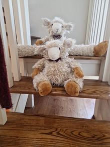 Sheep