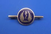 HOSPITAL LEAGUE of FRIENDS (health service volunteers) - an enamelled pin badge (1980s / 1990s)