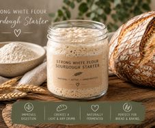 100 g of organic wholemeal rye sourdough starter