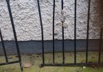 gates