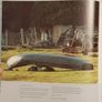 Ireland's Islands: Landscape, Life & Legends by Peter Somerville-Large Image 2