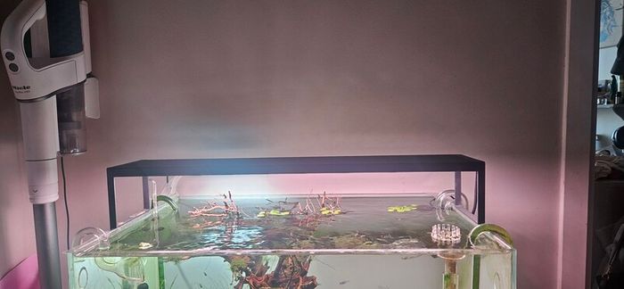 aquarium