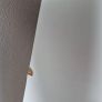 ikea white wardrobe Image 7