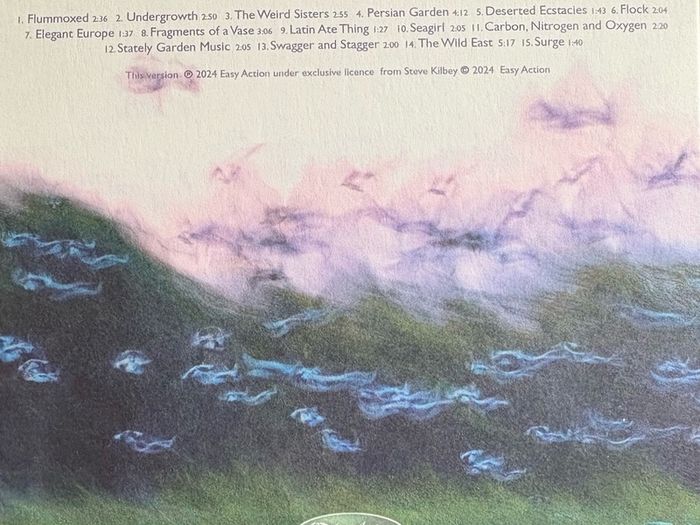 Steve Kilbey (The Church) - Whispers in The Static. Solo album by the acclaimed frontman of legendary Australian band The Church. Like new - played once.