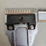 dog grooming Image 5