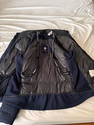canada goose