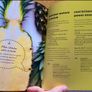 Crussh Juices Smoothies and Boosters Image 4
