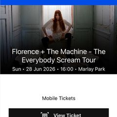 x1 Florence + The Machine Ticket - Standing General Admission - June 28th Marlay Park, Dublin