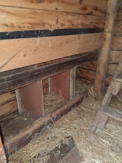 Hen House