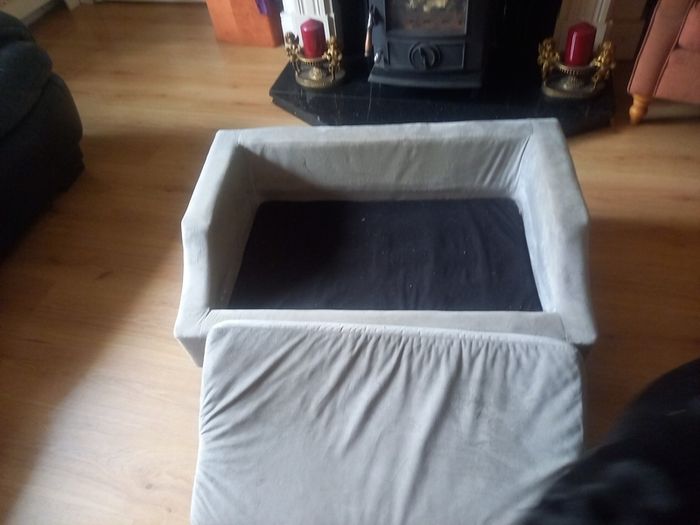 dog bed