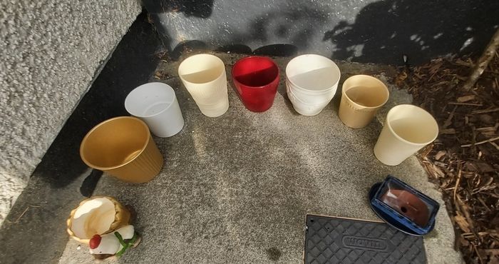 Plant pots