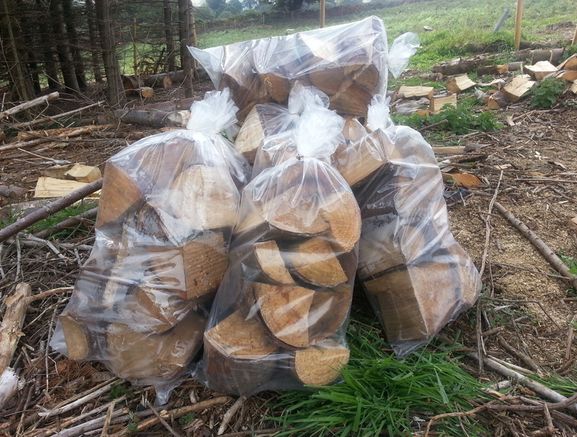 Logs