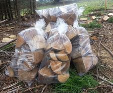 Logs