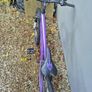 girls bike Image 3