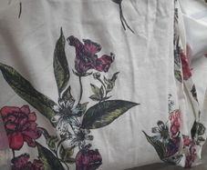 Curtain