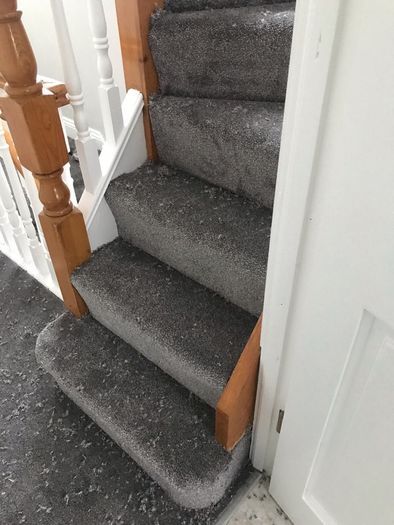 Carpet