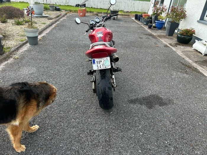 Honda Hornet 600