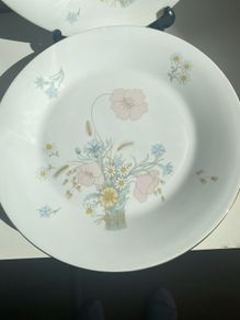 Set of six  Royal Doulton 10.7 inch dinner plates "Flirtation" pattern