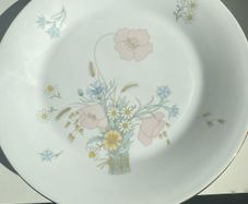 Reduced Set of six  Royal Doulton 10.7 inch dinner plates "Flirtation" pattern
