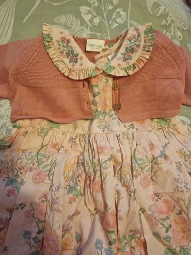 Next baby girl dress