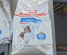 Dog food