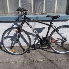 mountainbike Alpina 10c ECO