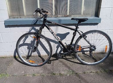 mountainbike Alpina 10c ECO