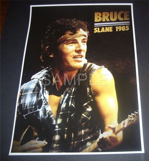 Bruce Springsteen poster Slane Castle Co Meath Ireland 1985 Reprodution