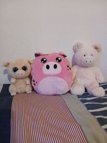 pig soft toys