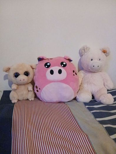 pig soft toys