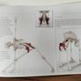 Key Muscles of Yoga by Ray Long Image 4
