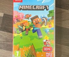Minecraft Nintendo Switch
