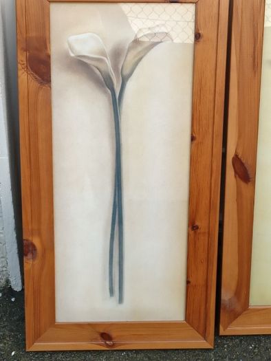 Beautiful Set of 2 Large Flower Pictures