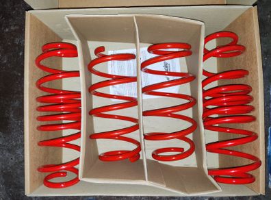 Ford Fiesta (JA8 JR8) 2008-2017 Lowering Springs