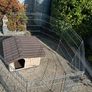 dog kennel Image 3