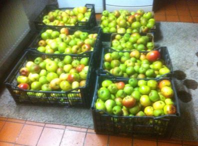 Cooking Apples