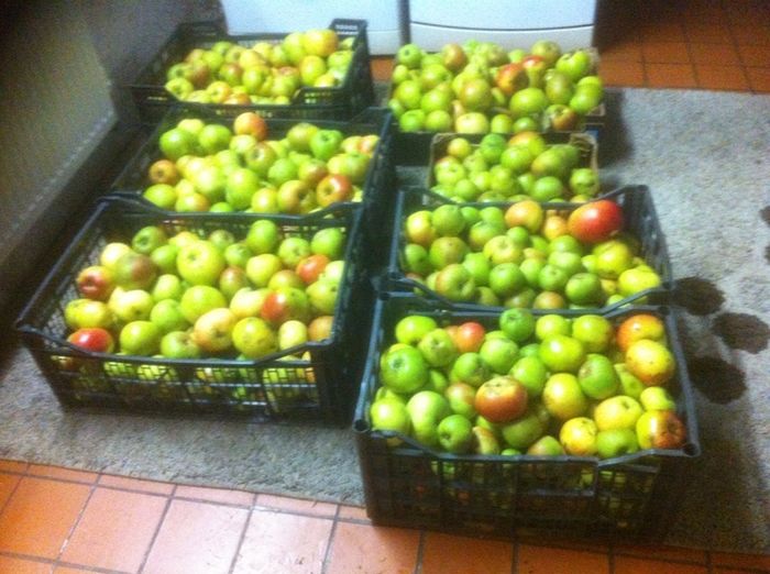 Cooking Apples