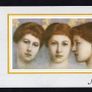 1986 Jersey Jersey Lilies Commemorative Stamps Presentation Pack Image 3
