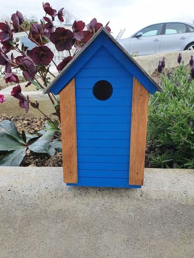 bird box
